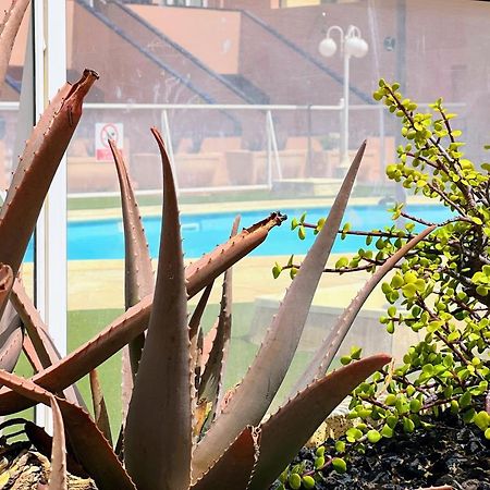 Apartament Sun Days Corralejo Irent Fuerteventura Zewnętrze zdjęcie